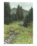 Anderson & Watson Lakes Trail