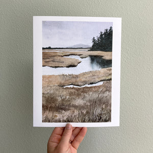 Maine Wetlands #1