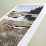 Maine Wetlands #1