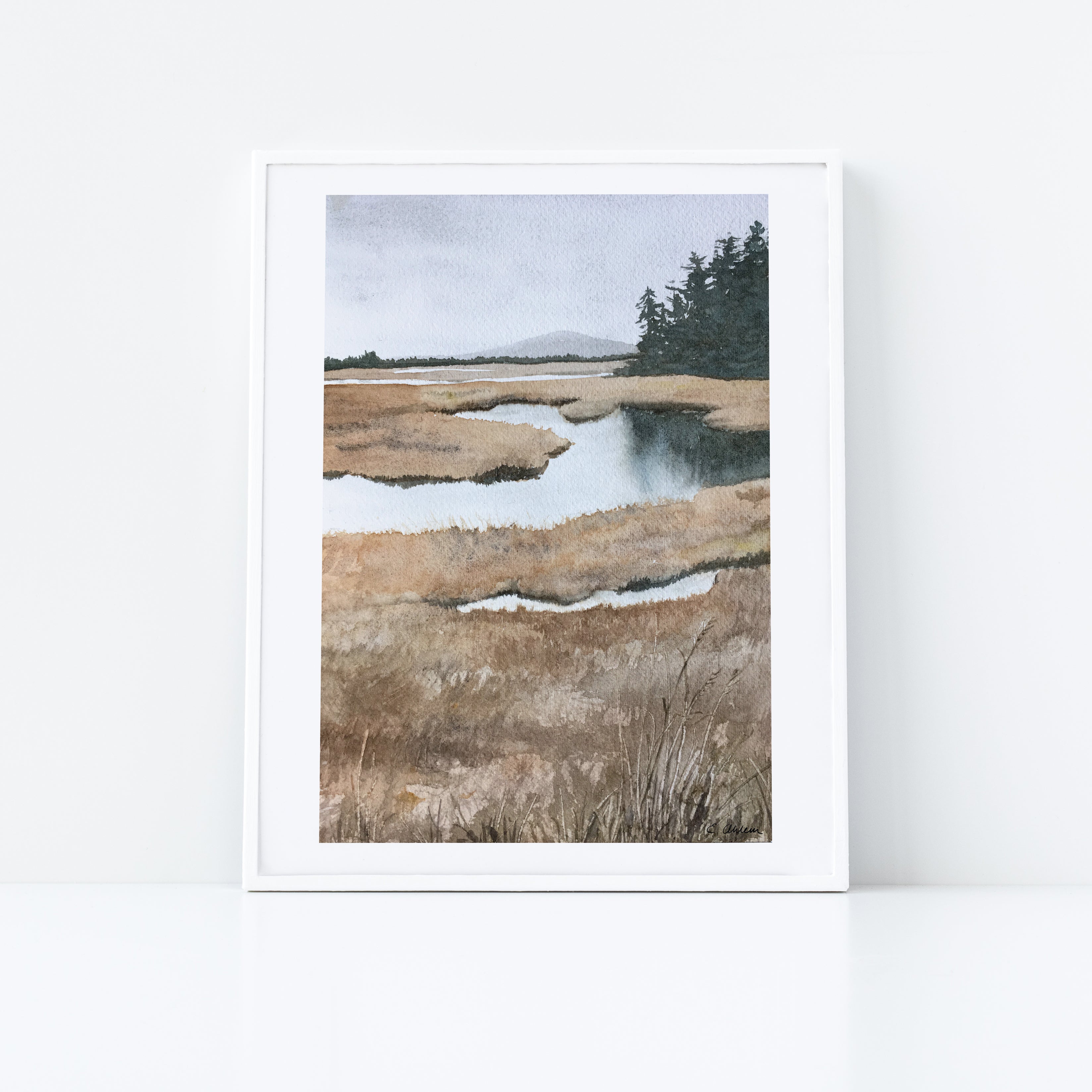 Maine Wetlands #1