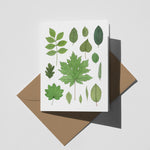 WS Ten pack: Pacific Northwest Leaves