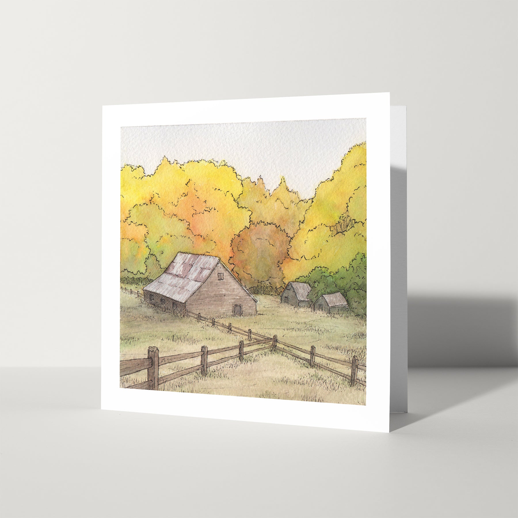 5 cards: SURPRISE pack