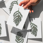 10 pack: Cedar Sprig cards