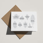 WS Ten pack: Deciduous Trees