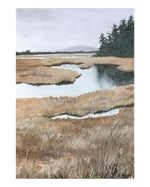 Maine Wetlands #1