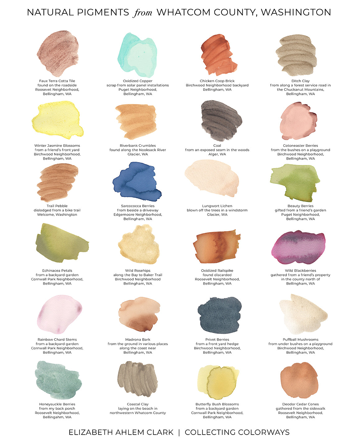 Whatcom County Pigment Chart- free shipping!