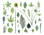 Botanical Collection